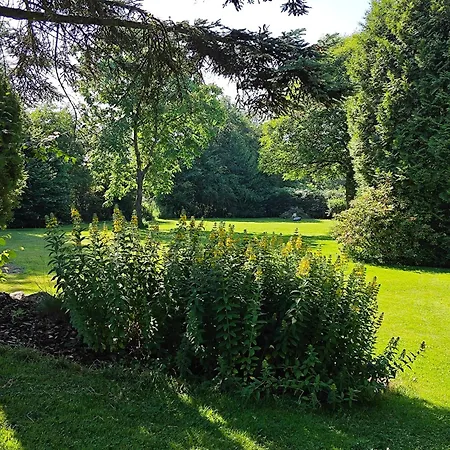 Buechelblick مكان تخييم *